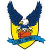 CSU Sibiu